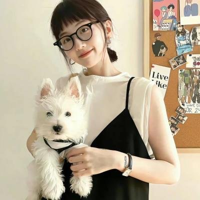 无敌特务之雷朋三世